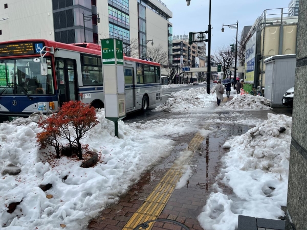 新潟市雪２