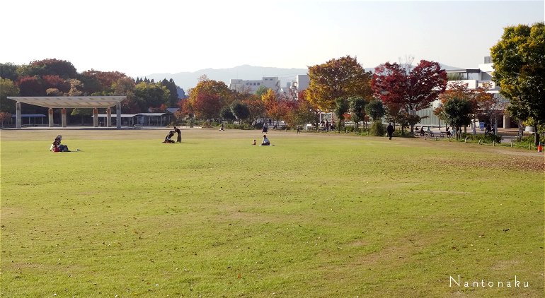 京都の梅小路公園のグラウンド