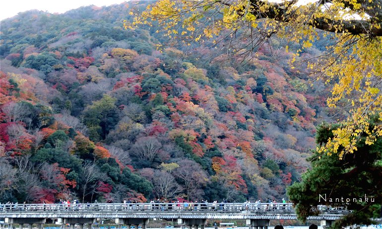 2022 11 25 観光客が戻ってにぎやかな京都嵐山　2