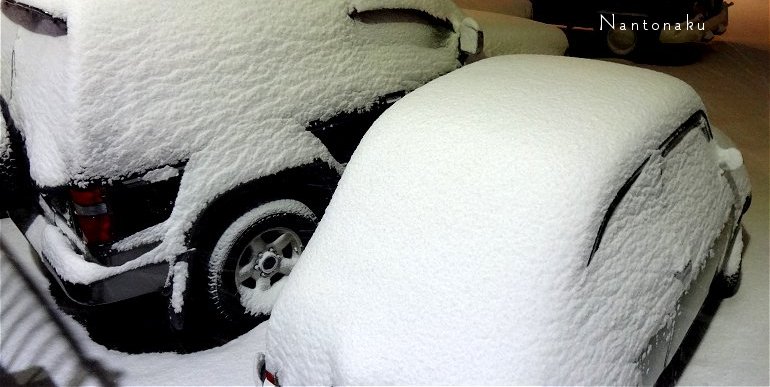 ガレージにとめてある車も積雪　２０２３　１月２４日　