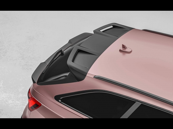 PRIOR DESIGN Audi RS 6 Avant PD6RS [2022]　008