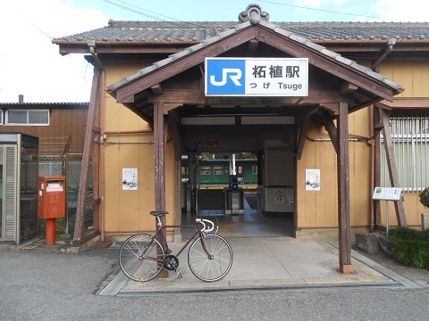 jrw-tsuge-3.jpg