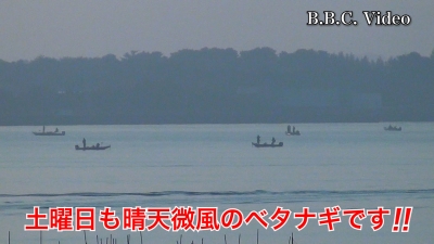 琵琶湖南湖はベタナギガラ空き!! 今日も遠くの景色が霞んでます #今日の琵琶湖（YouTubeムービー 22/11/12）