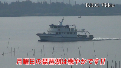 月曜日は晴天軽風!! 琵琶湖南湖はガラ空きに戻りました #今日の琵琶湖（YouTubeムービー 22/11/28）