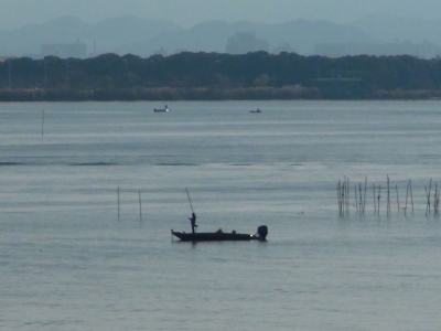 琵琶湖大橋西詰めから眺めた南湖は晴天微風のベタナギ。湖上は言い転移の土曜日にしてはボートが少なくて空いてます（12月3日11時15分頃）