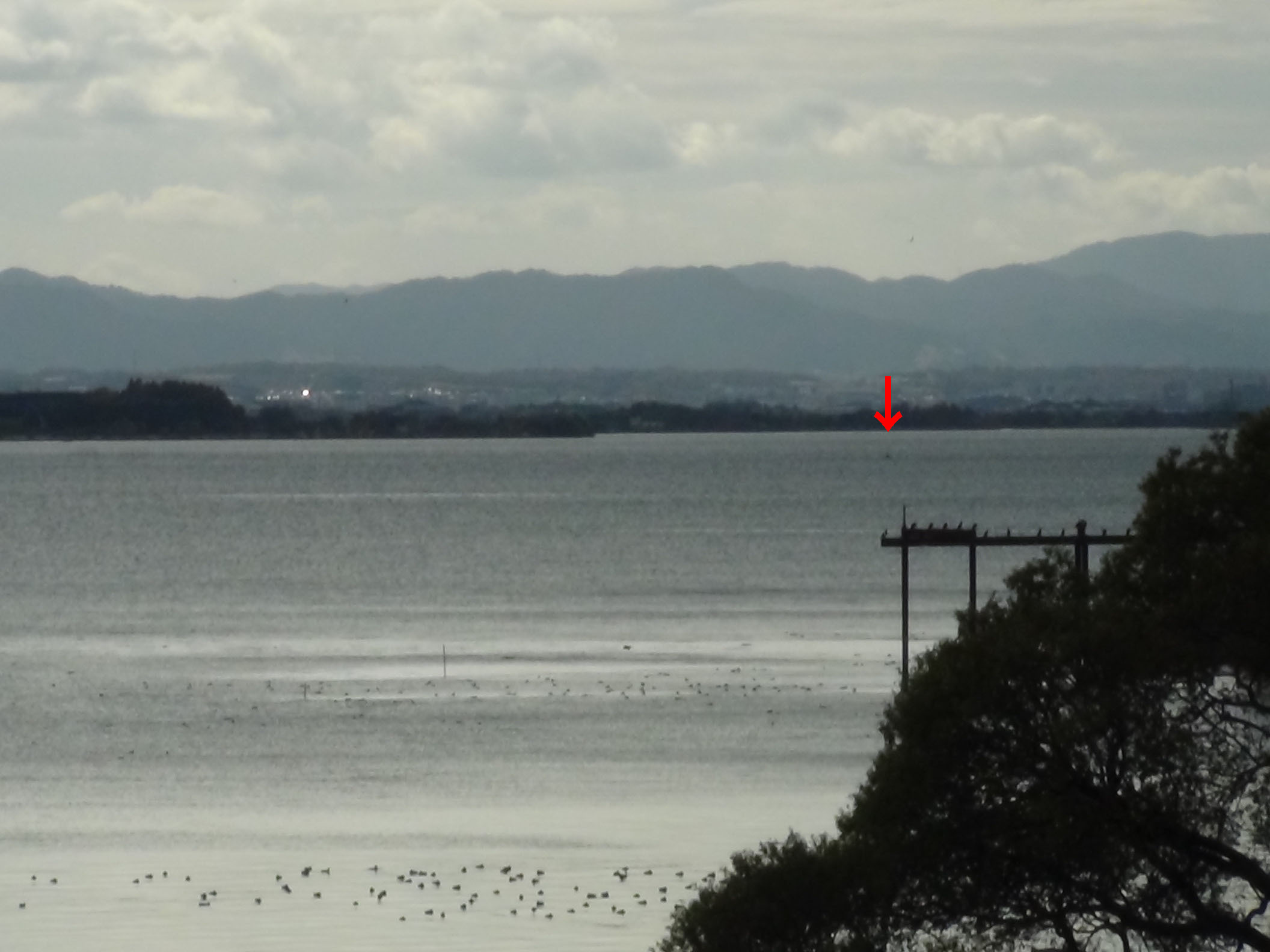 琵琶湖大橋西詰めから眺めた南湖は雄琴沖にボートが1隻だけいるのかどうか定かではなく、手前の大烏丸半島沖から木浜沖は誰もいません（12月5日10時30分頃）