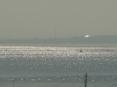 琵琶湖大橋西詰めから眺めた南湖は快晴で穏やか。昨日までほとんど無人だった赤野井沖にボートが増えてます（12月10日11時頃）