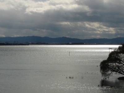 琵琶湖大橋西詰めから眺めた南湖は西寄りの強風で荒れてます。湖上は誰もいません!!（12月14日11時45分頃）