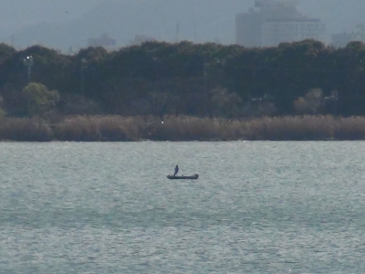 琵琶湖南湖木浜2号水路沖で釣り中のボート。荒天続きでボートの姿を見るのは4日ぶりです（12月25日11時頃）