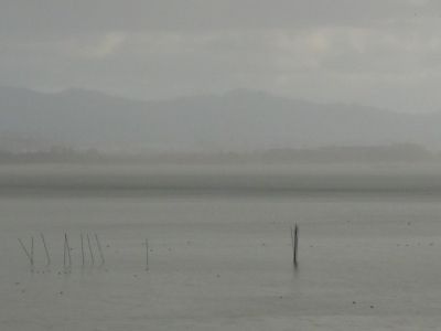 琵琶湖大橋西詰めから眺めた南湖は西寄りの軽風で穏やかですが、赤野井〜山ノ下湾以南は視界がぼやけてよく見えません（12月26日14時20分頃）