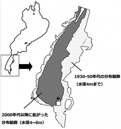 琵琶湖南湖の沈水植物の分布範囲の変化