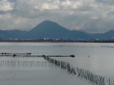山ノ下湾から眺めた琵琶湖南湖は寄りの軽風で湖面は軽くざわついてるだけですが釣り中のボートは1隻も見えず（1月5日10時30分頃）