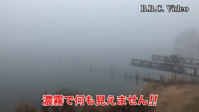 琵琶湖大橋西詰めから眺めた南湖は濃霧で何も見えません!! #今日の琵琶湖（YouTubeムービー 23/01/12）