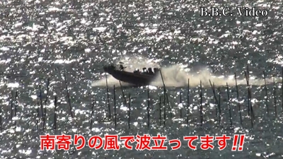 大雪後の琵琶湖!! 北湖は西風 南湖は南風で荒れてます #今日の琵琶湖（YouTubeムービー 23/01/26）