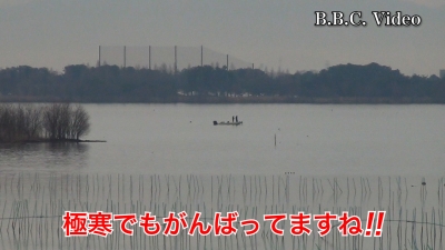 山ノ下湾から眺めた琵琶湖南湖はベタナギガラ空きです!! #今日の琵琶湖（YouTubeムービー 23/02/01）