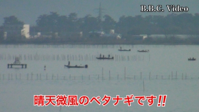 日曜日の琵琶湖は晴天微風のベタナギ!! ボートが一気に増えました #今日の琵琶湖（YouTubeムービー 23/02/12）
