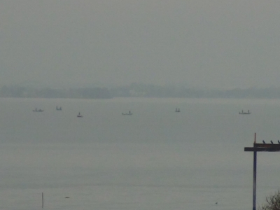 曇天微風の琵琶湖南湖。赤野井沖に疎らな船団ができてます（2月18日10時15分頃）