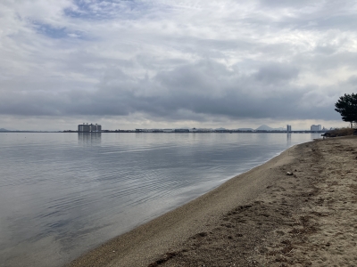 真野浜から眺めた琵琶湖北湖は曇天微風のベタナギですが釣り中のボートも立ち込み釣りのアングラーも誰もいません（1月23日11時20分頃）