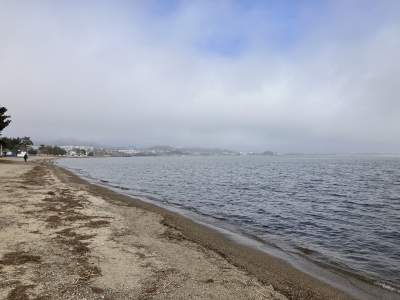 真野浜から眺めた琵琶湖北湖。沖は濃霧ですが西岸は和邇川河口あたりまで見えてます（2月6日11時頃）