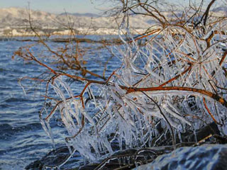 草津湖岸に発生したしぶき氷