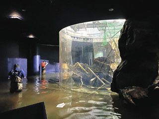 水槽が破裂して水浸しになった琵琶湖博物館の水族展示室