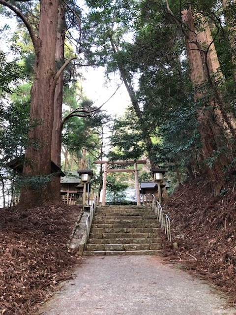 2023年1月12日・天岩戸神社・東本宮・石段と大きな杉