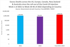1point8 million excess deaths