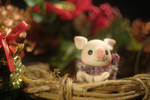 ツバキアキラが撮った、Oh! Duck FarmのTon Ton・トット。クリスマスの飾りの中で、楽しかった思い出に思いを巡らせるトット。