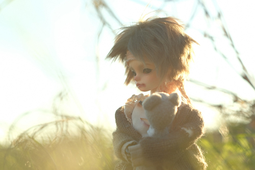 ツバキアキラが撮ったドール、FairyCastle・Boboのカイエ。大切なクマちゃんをギュッと抱きしめて、野原をさすらうカイエ。