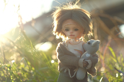 ツバキアキラが撮ったドール、FairyCastle・Boboのカイエ。大切なクマちゃんをギュッと抱きしめて、野原をさすらうカイエ。