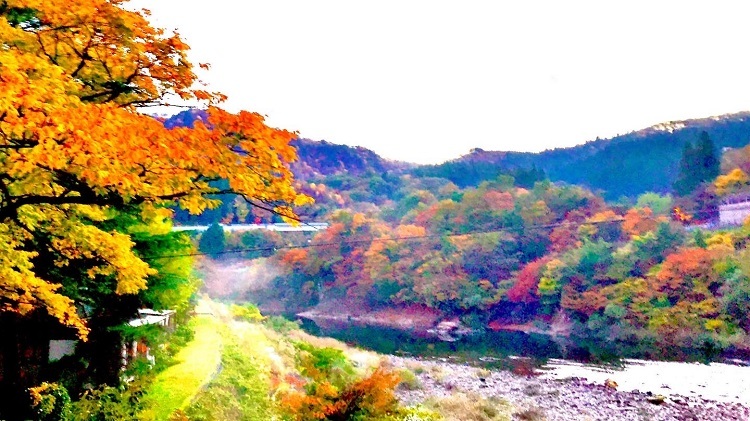 8関川村の荒川峡