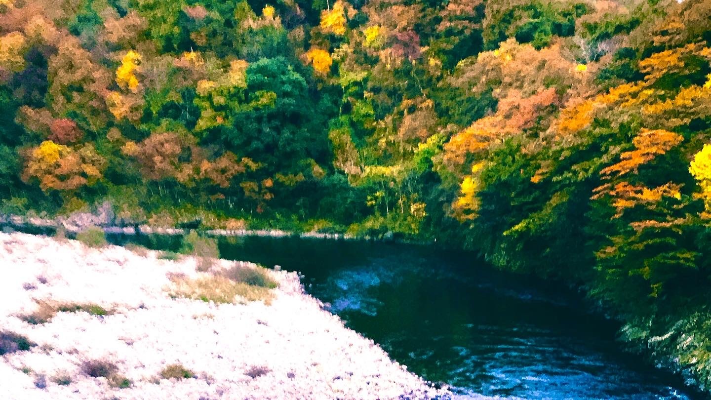 1関川村の荒川峡