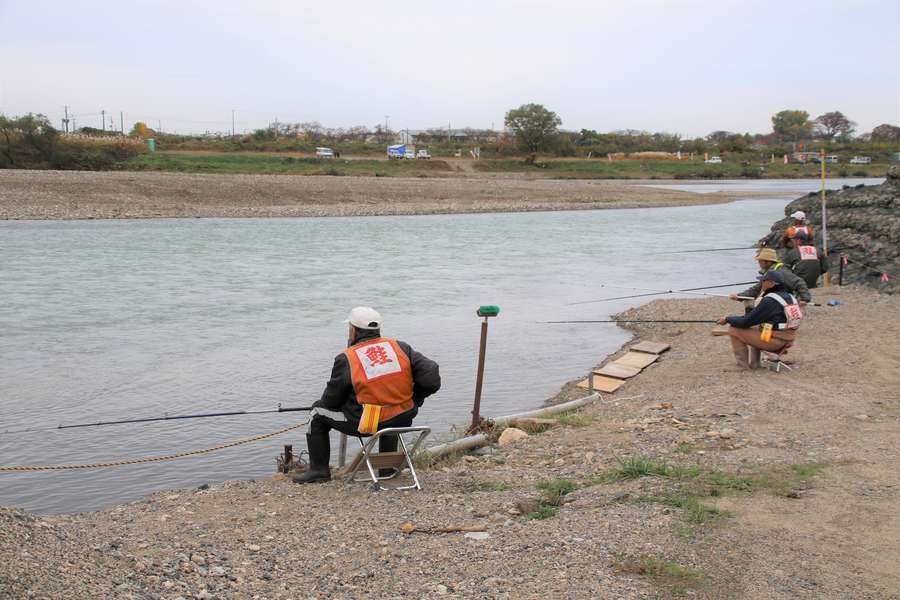 三面川でテンカラ漁をする漁師の後ろ姿