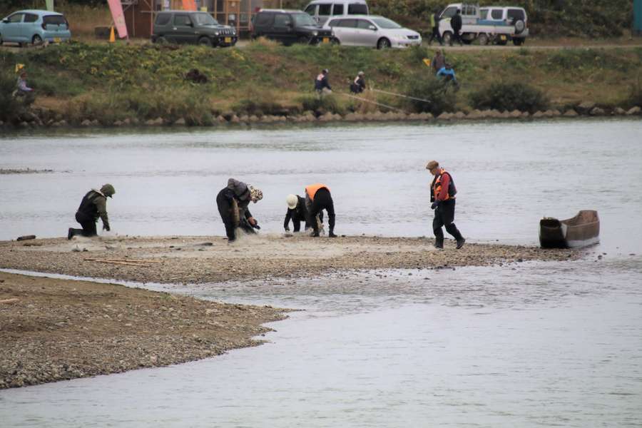 中州の鮭を回収する漁師たち