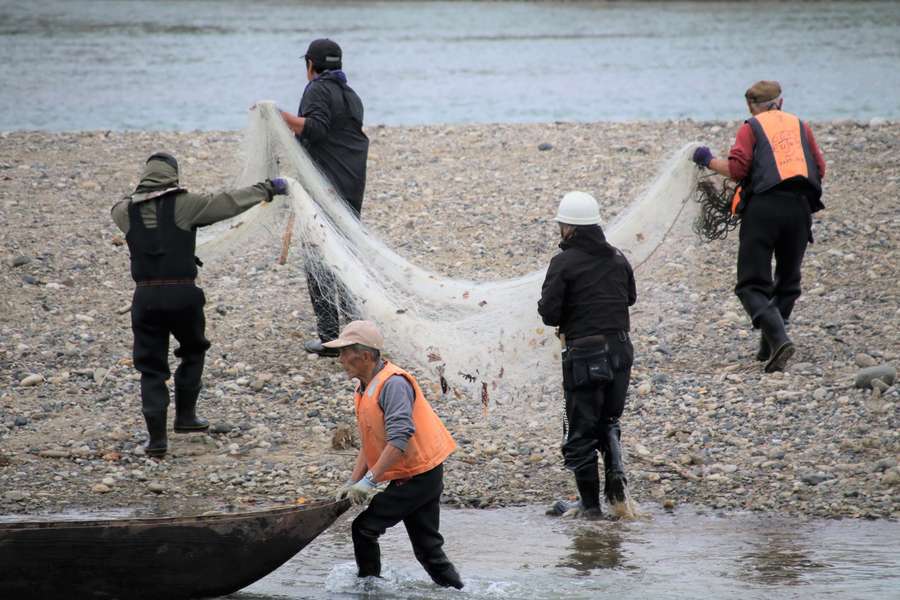 中州に網を持って行く漁師たち
