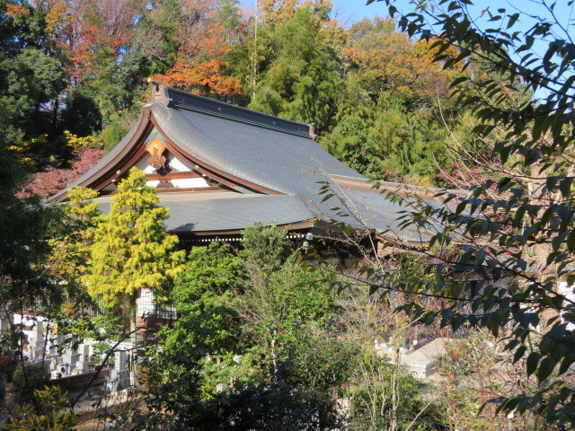 寿福寺の境内９