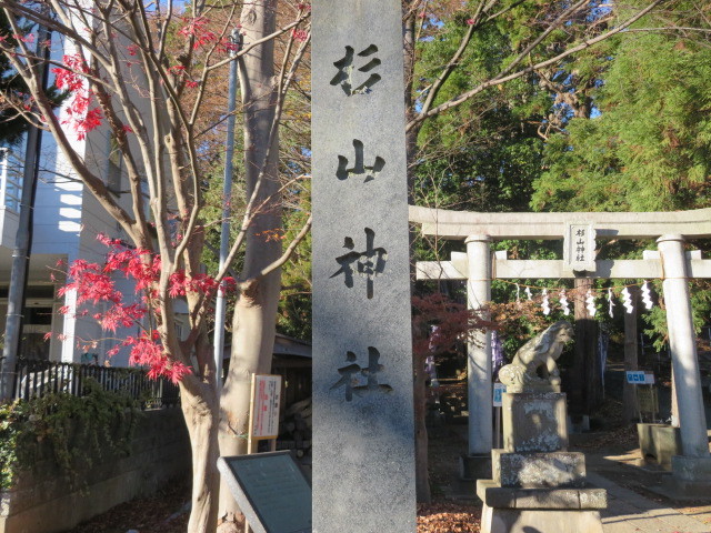 平尾杉山神社の鳥居１