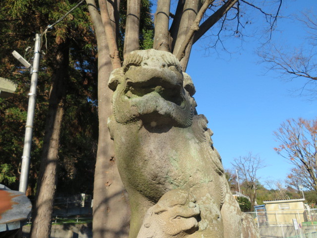 平尾杉山神社の狛犬２