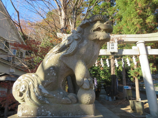 平尾杉山神社の狛犬３