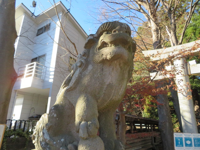 平尾杉山神社の狛犬４