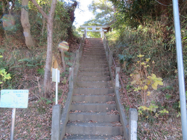 長尾神社の参道１