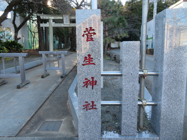 菅生神社の鳥居２