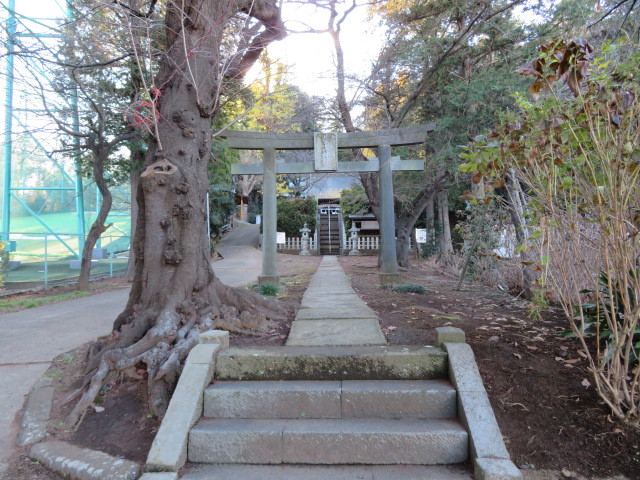 菅生神社の参道５