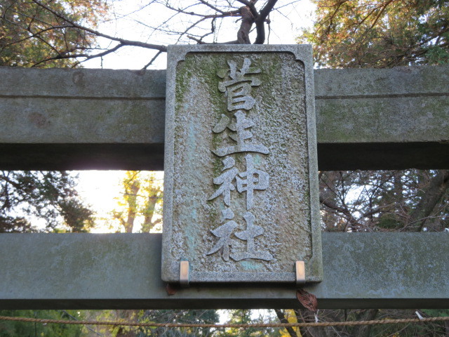 菅生神社の参道７
