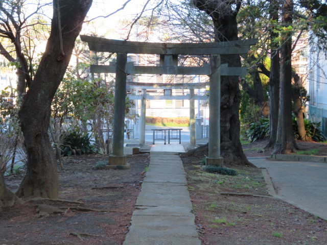 菅生神社の参道１１