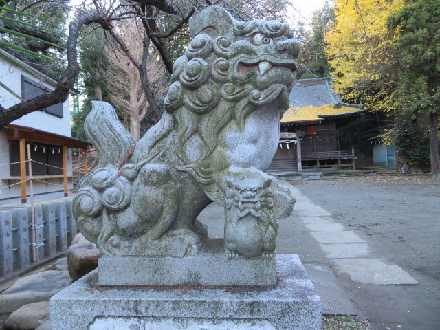 菅生神社の境内３