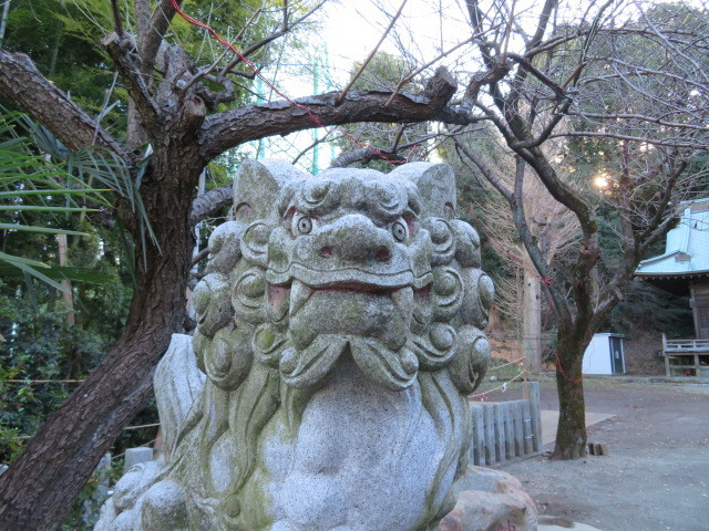 菅生神社の境内４