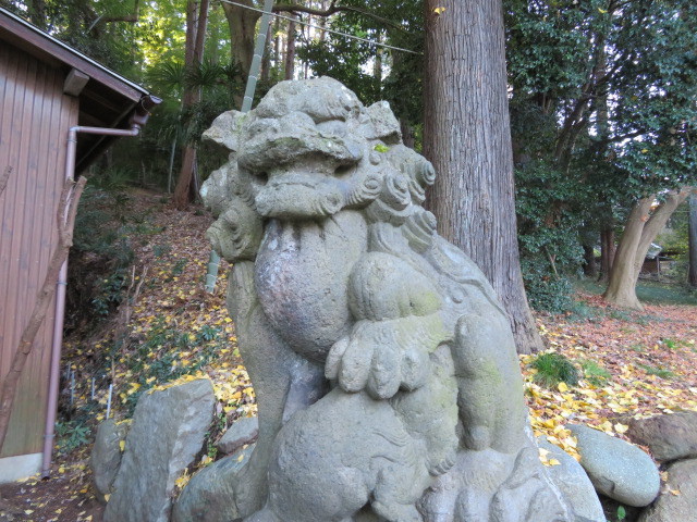 菅生神社の境内１０
