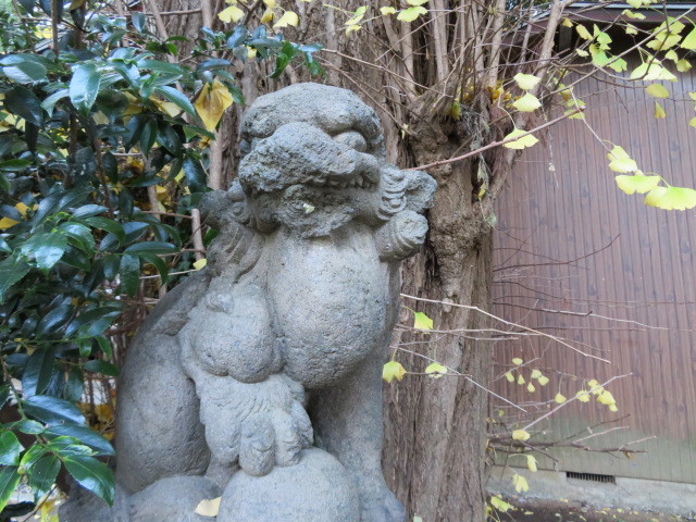 菅生神社の境内１１