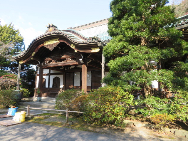 妙本寺の本堂３